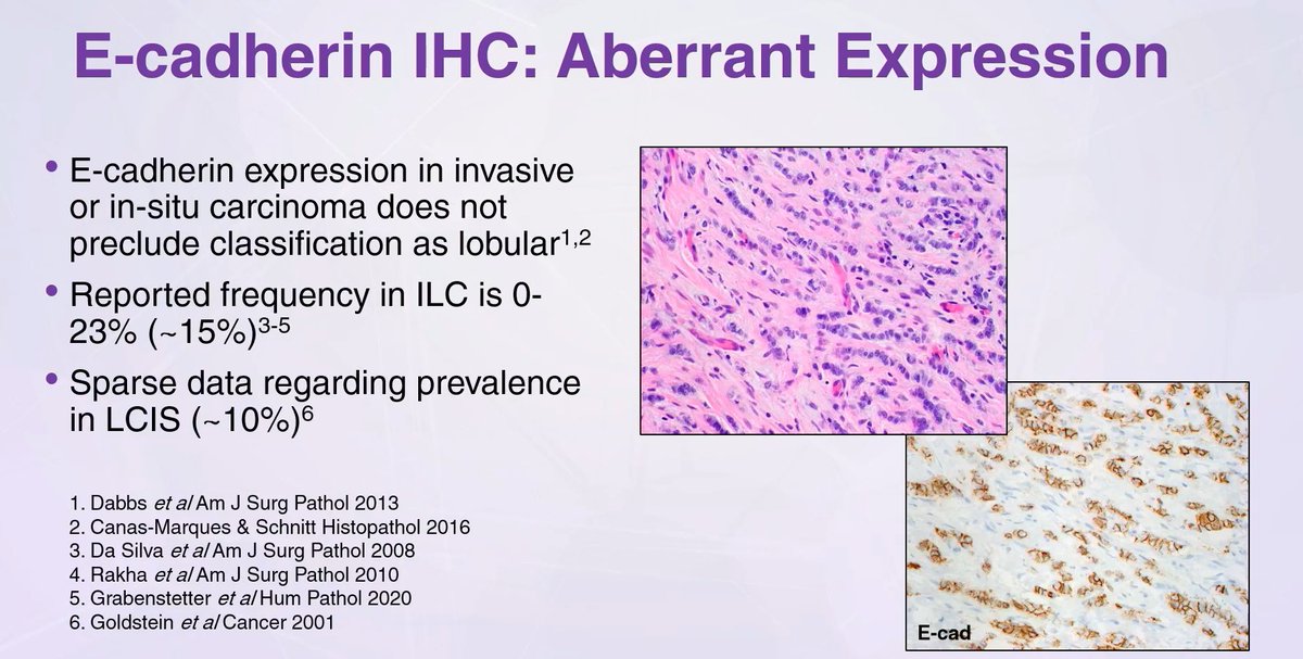 Janira Navarro tweet media