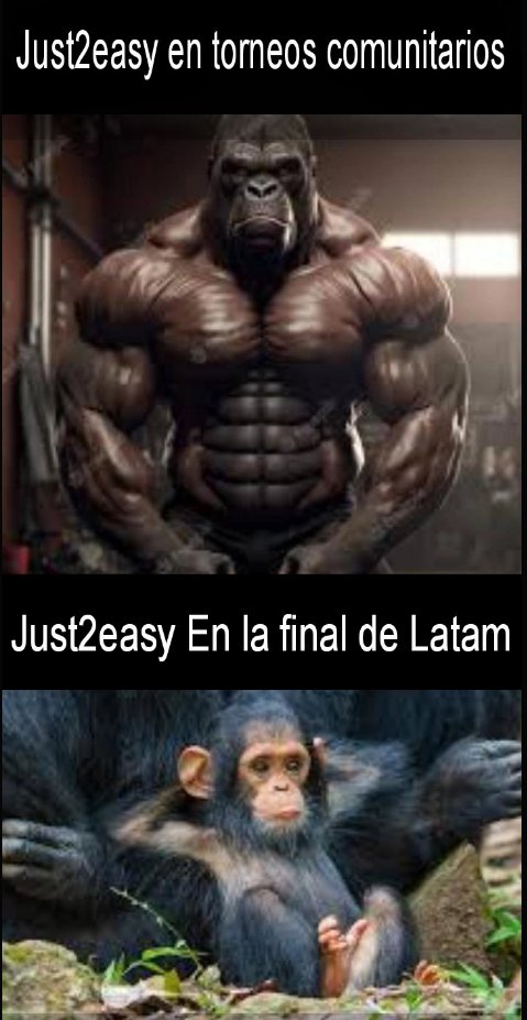 Just2Easy 3.1 tweet media