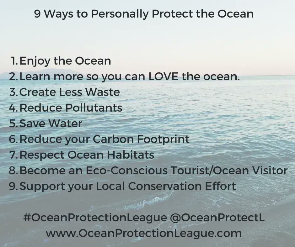 OceanProtectL's tweet image. 9 ways to protect the ocean

#OceanProtectionLeague #SaveTheOcean #ocean #beach #nature #sea #travel #love #sky #water #climatechange #Sustainable #climatecrisis #Recycle4Nature #recycling #ClimateAction #environment 

buff.ly/31gtiQH