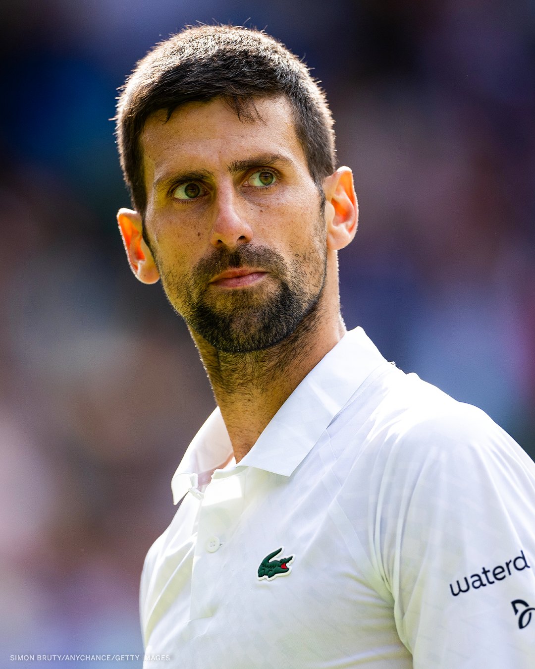 [情報] Novak Djokovic 退出加拿大大師賽