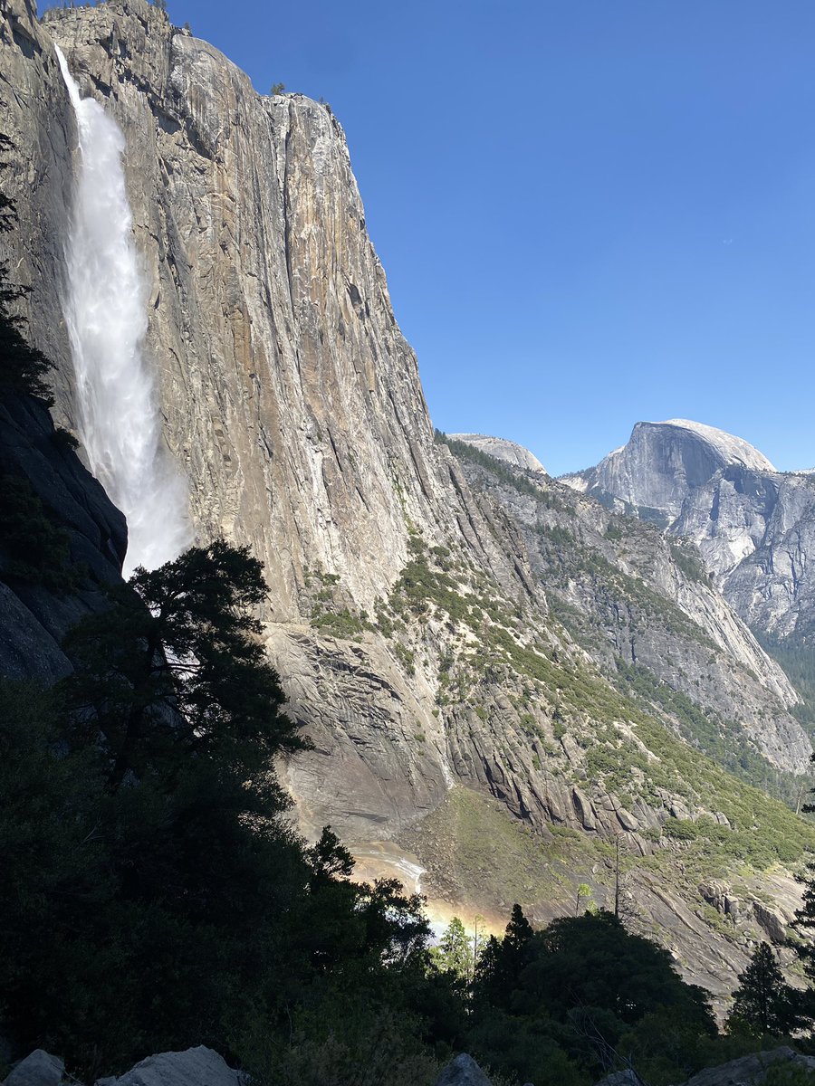 Haim Moore tweet media