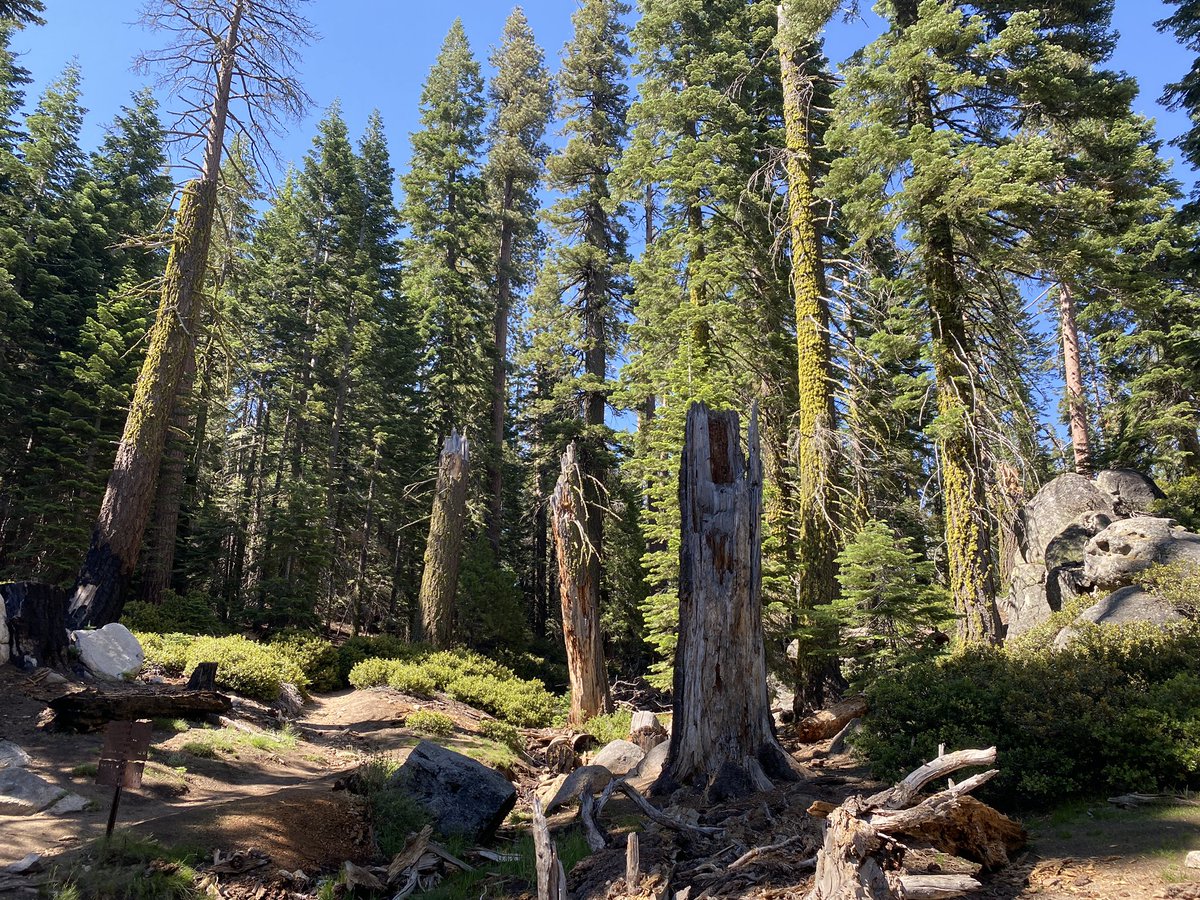 Haim Moore tweet media