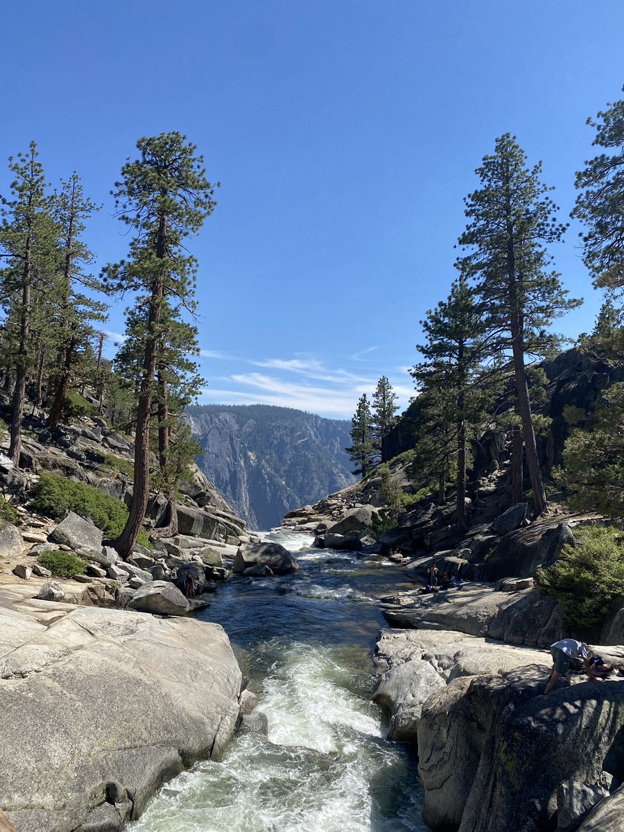 Haim Moore tweet media