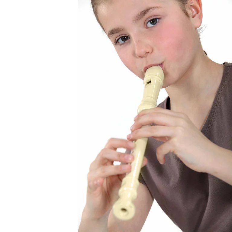 I want to know which Department of Education employee also owned a recorder company because why the hell did we all learn to play mary had a little lamb on this thing
