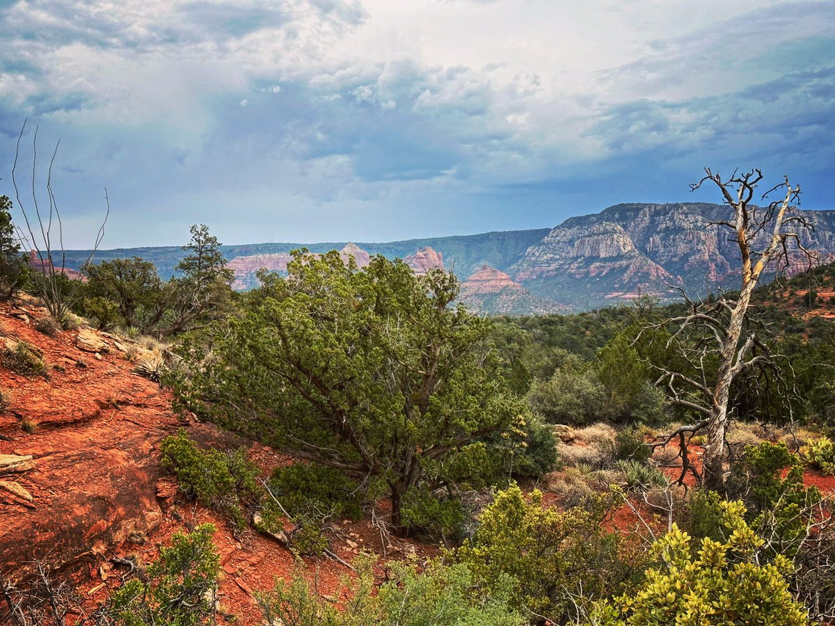 My first hike as a Sedonan (not sure if that’s even a word, but I’m going with it… ha!). Absolutely beautiful. Can’t wait for my family to soon join me.