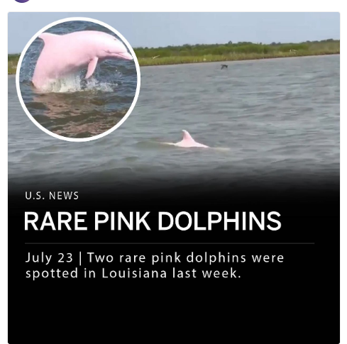 RashellHa's tweet image. The #BarbieMovie marketing team is out of control.