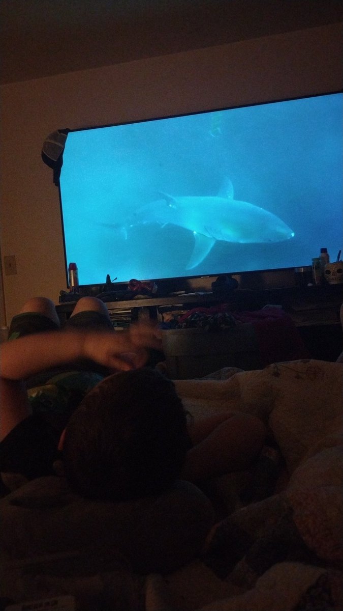 fedupinva's tweet photo. #SharkWeek2023 #Discovery #loveit https://t.co/3Pr2gEJjgx