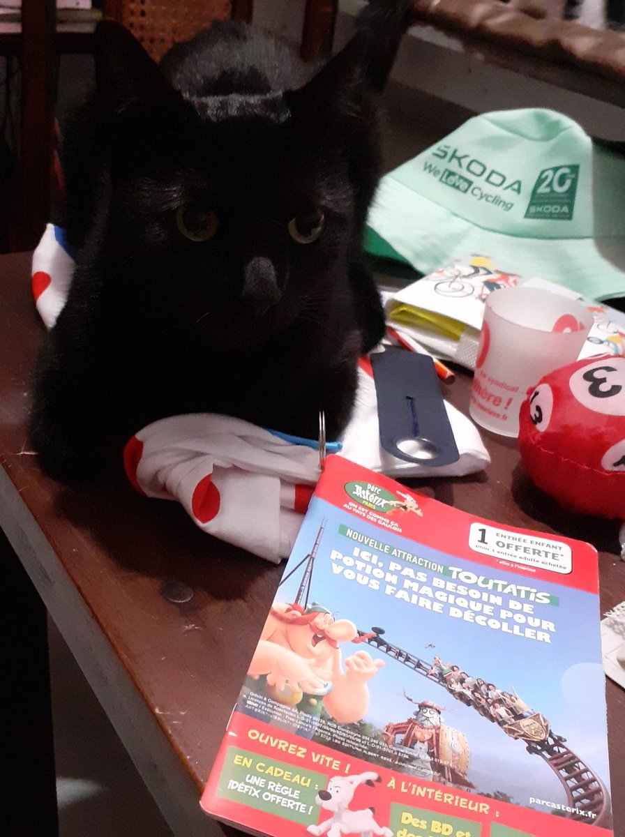 RestlessSeagull's tweet photo. I can reveal the biggest @giuliocicco1 King of the Mountains #polkadotjersey fan 🐈‍⬛  #catswithcaravanegoodies #TourdeFrance @eurosport https://t.co/H6t748hpx1