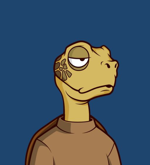 realtinywhale's tweet image. Lest I forget, Captain @Dannyb2061 came through the store just before we could close and took these two home.

What's with the Brown shirt trait he just snipped?🤔 Lemme go get a brown shirt for myself 🏃‍♂️🏃‍♂️

Much love Brother.
#tinyturtle