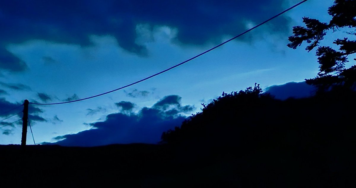 Cogie's Aurora's tweet media