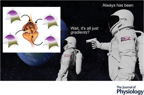 Jake Sacks tweet media