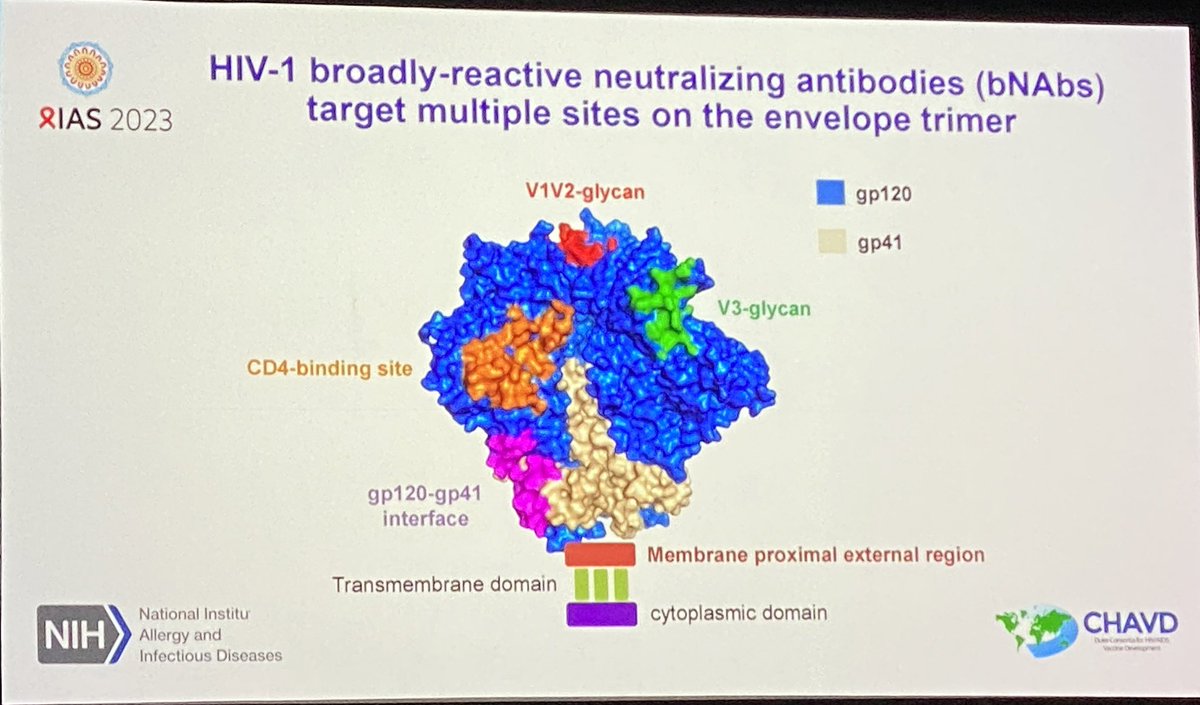 JillianLau1's tweet photo. #IAS2023 Wilton Williams from Duke takes us through the development of MPER broadly neutralising antibodies #bNAb. These are being developed for #HIV #vaccine clinical trials. We are seeing an explosion of bNAb technologies in HIV #treatment #precention and #cure. https://t.co/rJ7MAMLEuV