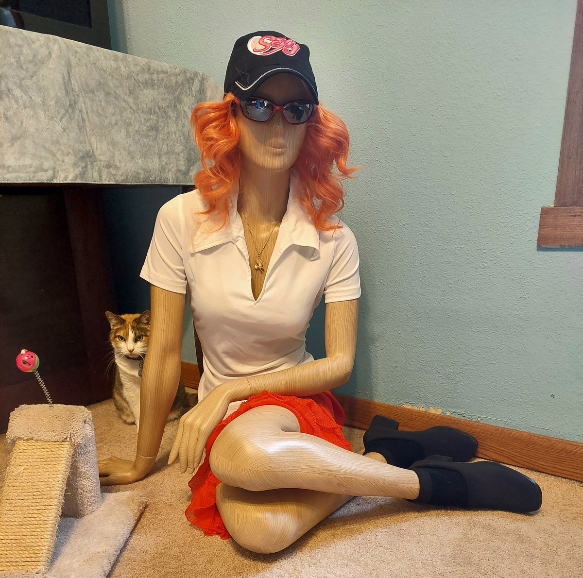 niceguyochoada's tweet photo. Quin hanging out with Ayumi.

#mannequin #CatsOfTwitter #thuglife https://t.co/dVbKPFLXyj