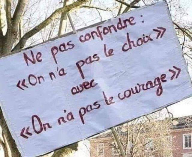 Ptit Soleil (@ptitsoleil1) on Twitter photo 