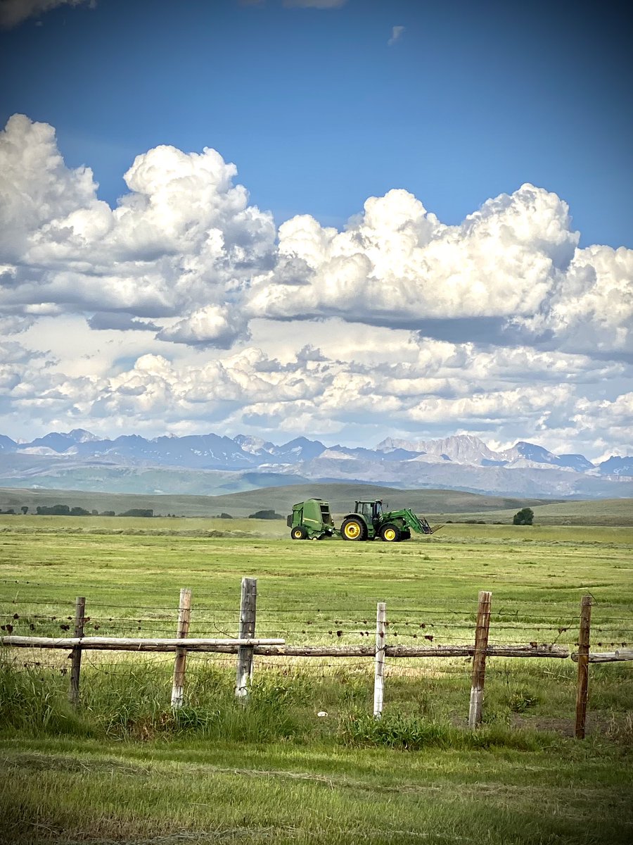 RanaePape's tweet image. #haying #supportagriculture #johndeere #johndeere7410 #johndeerebaler