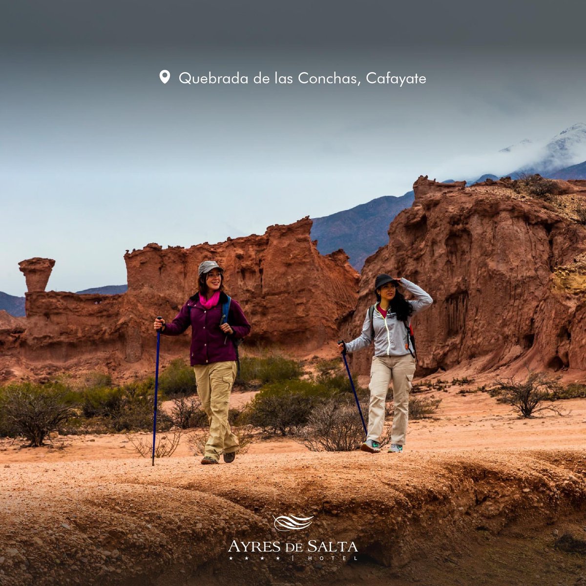 malterterrada's tweet photo. Salta es una provincia argentina que cuenta con una gran variedad de Áreas Naturales Protegidas, cada una de ellas con sus propias características y bellezas naturales.

mail: reservas@ayresdesalta.com.ar
teléfono: (0387) 422 1616

#Salta #SaltaCapital #HotelSalta #SaltaLaLinda https://t.co/sFNEaZ1F0r