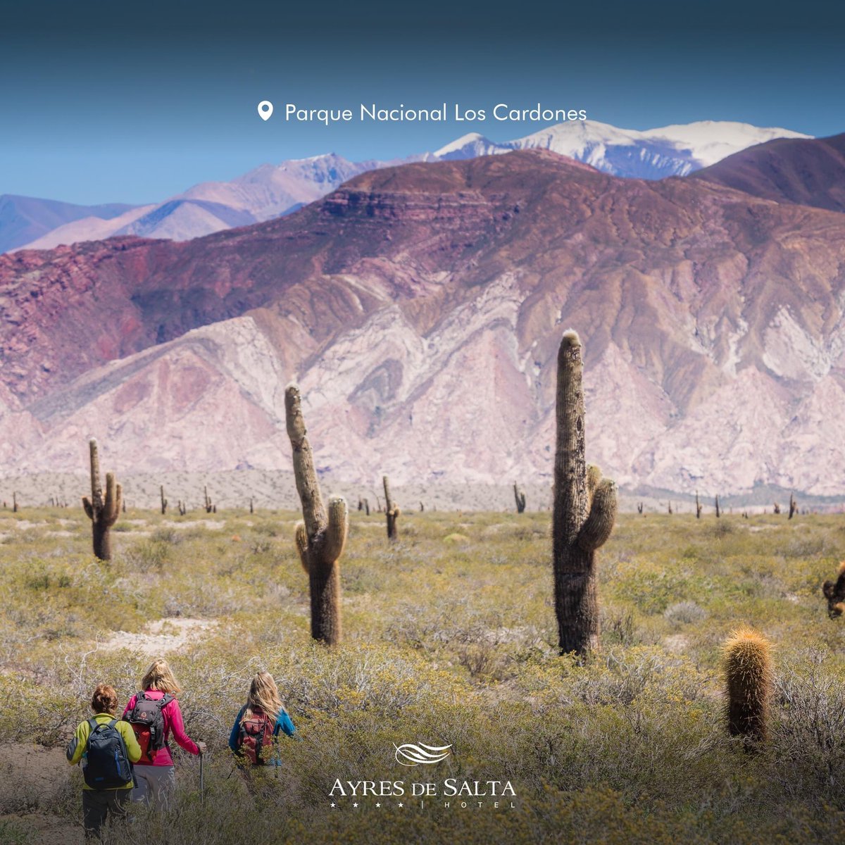 Salta es una provincia argentina que cuenta con una gran variedad de Áreas Naturales Protegidas, cada una de ellas con sus propias características y bellezas naturales.

mail: reservas@ayresdesalta.com.ar
teléfono: (0387) 422 1616

#Salta #SaltaCapital #HotelSalta #SaltaLaLinda