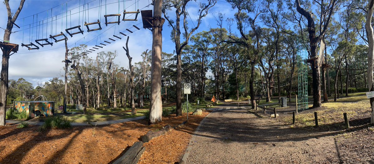 BresciaWSoc's tweet photo. Today we’re taking on the St. Ives Treetop Adventure! #BWSWWC https://t.co/c9DIxMfM5g