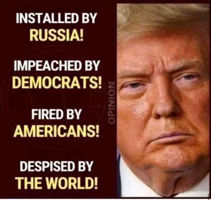 AZ_Brittney's tweet image. Raise your hand 🖐️ if you will NOT vote for Donald Trump under any circumstances so EVERYONE can follow you! 💙🌊 🌊

Like ❤️ Comment 🗣️ Retweet 🔄 
so more people see this tweet and you can get more followers! 🌊🌊