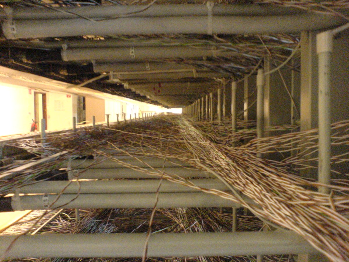 Benjamin tweet media