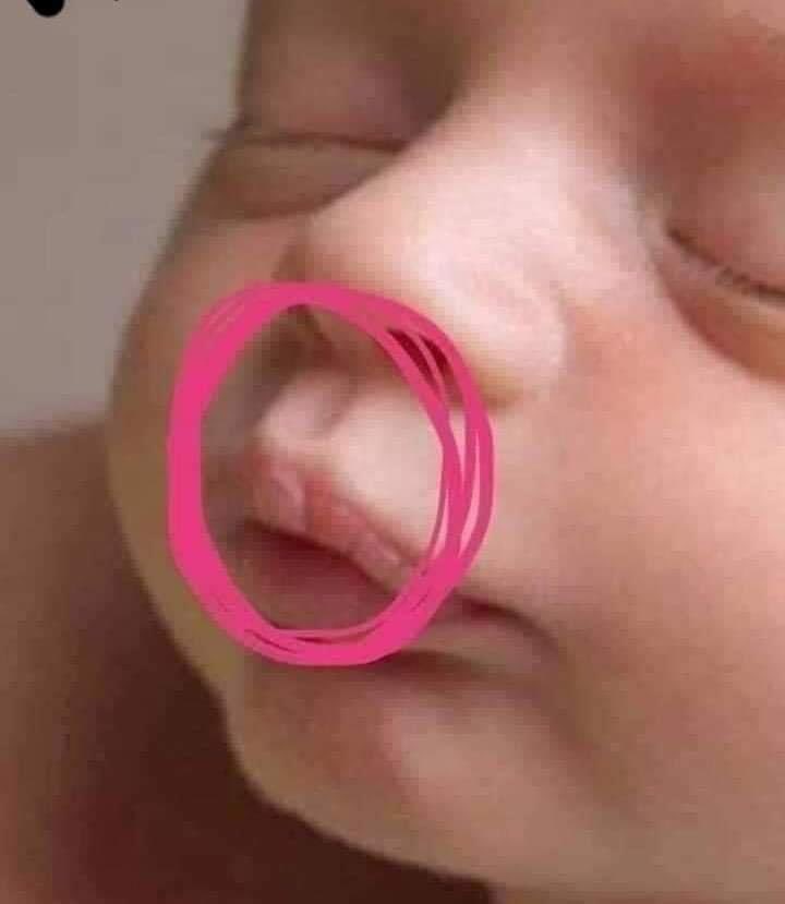 JoseFerreiraj94's tweet image. Dice una vieja leyenda que…
Cuando un niño está en el vientre de su madre contiene en sí mismo todo el conocimiento del mundo; 
-Sabe cuántas estrellas hay en el firmamento, 
-cuántas gotas de agua contienen los océanos y 
-cuántos granos de arena cubren todos los desiertos.…