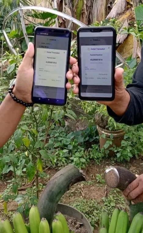 Two bunches of bananas equivalent to IDR 85,000 and equal to 0.0000180π using the digital currency Pi. They are from PONOROGO, East Java, INDONESIA…@PiCoreTeam ⚡️🚀⚡️🚀⚡️