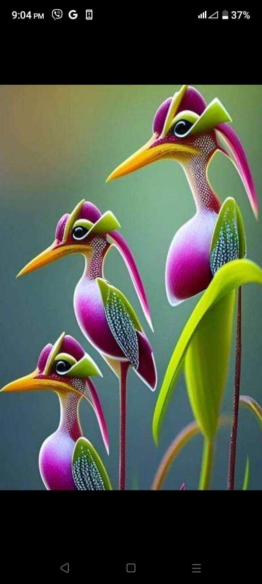 SimonRa30930594's tweet photo. एलन मस्कलाई चाहिने लोगो यता फेला  पर्यो ।😜 https://t.co/0YMPcu2oOp