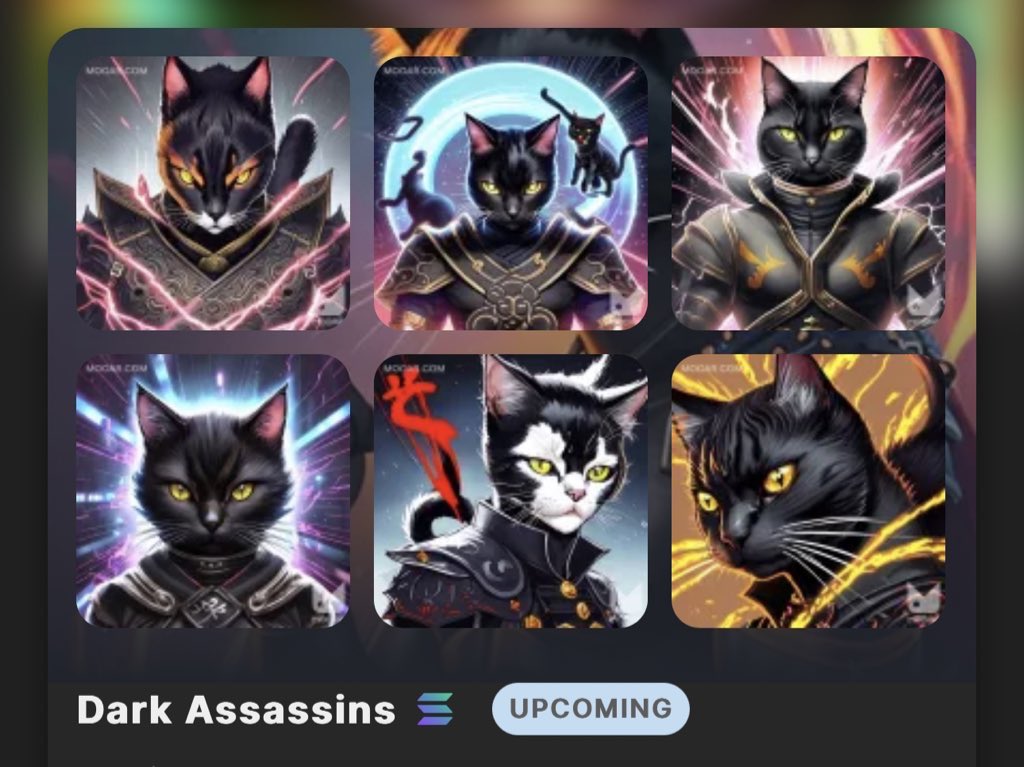 Right now! Mint Only for 12 hours.
mooar.com/mobile/collect…
<a href="/mooarofficial/">MOOAR</a>
#Cat #NFT #Solana #GMT