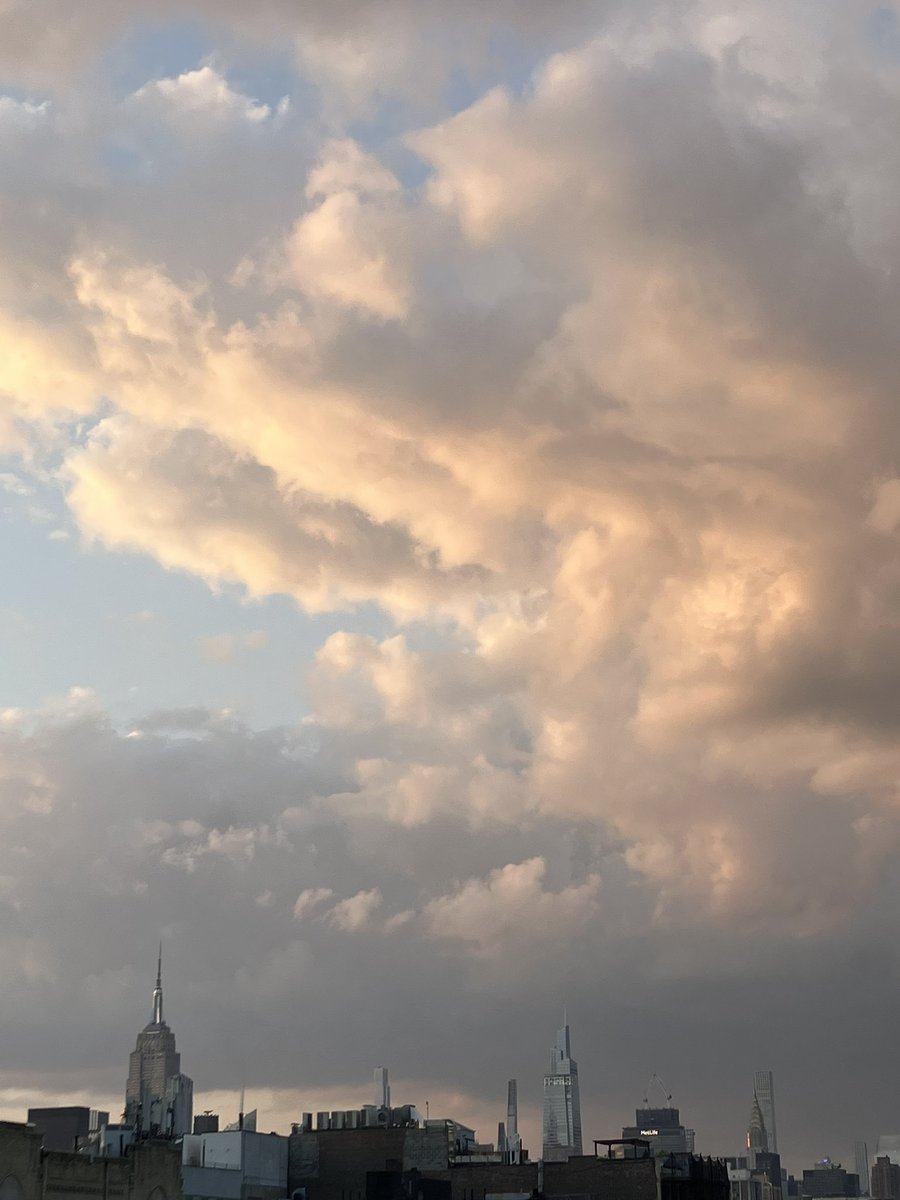 evgrieve tweet media