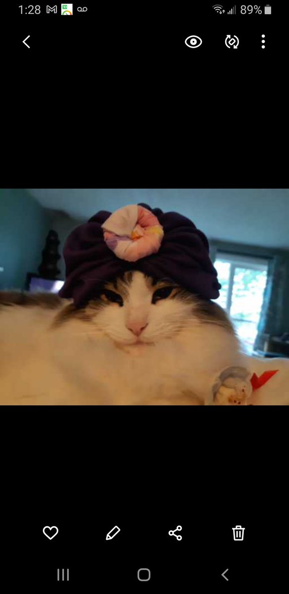 cybernag66's tweet photo. @Phil_Sledge Weazley..he was sooooo tolerate of his humans https://t.co/Qg1rovUIlK