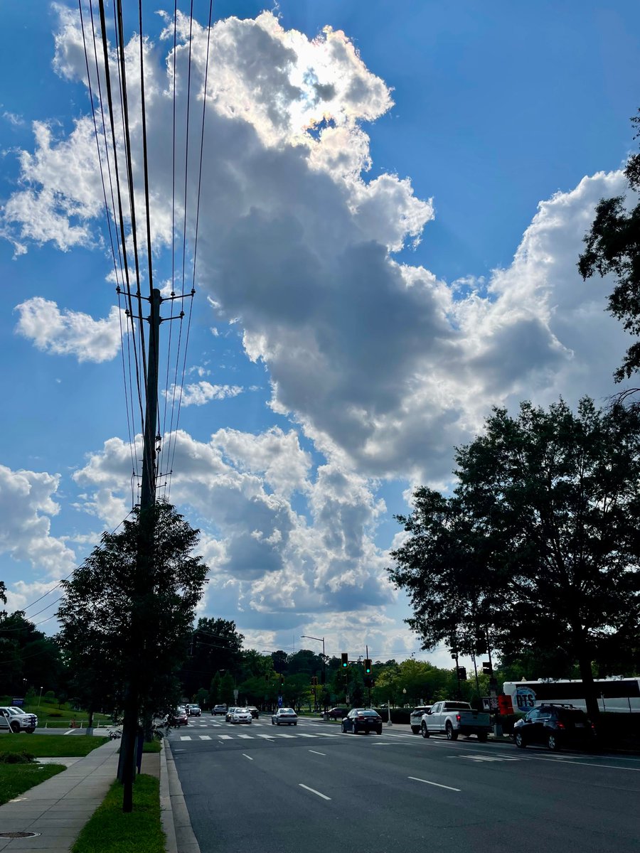 Steisi Mileiva tweet media