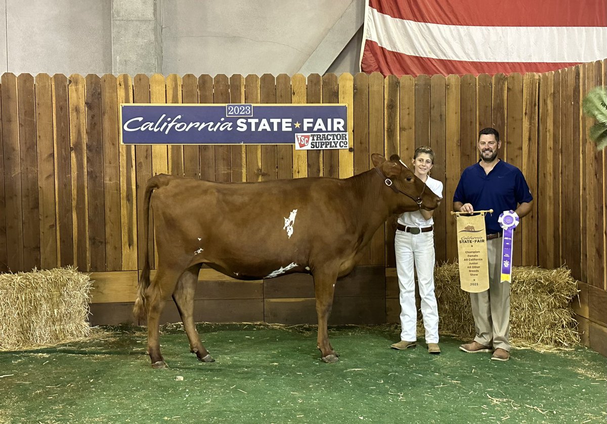 #castatefair Brooklyn taking the junior win for shorthorn milker.