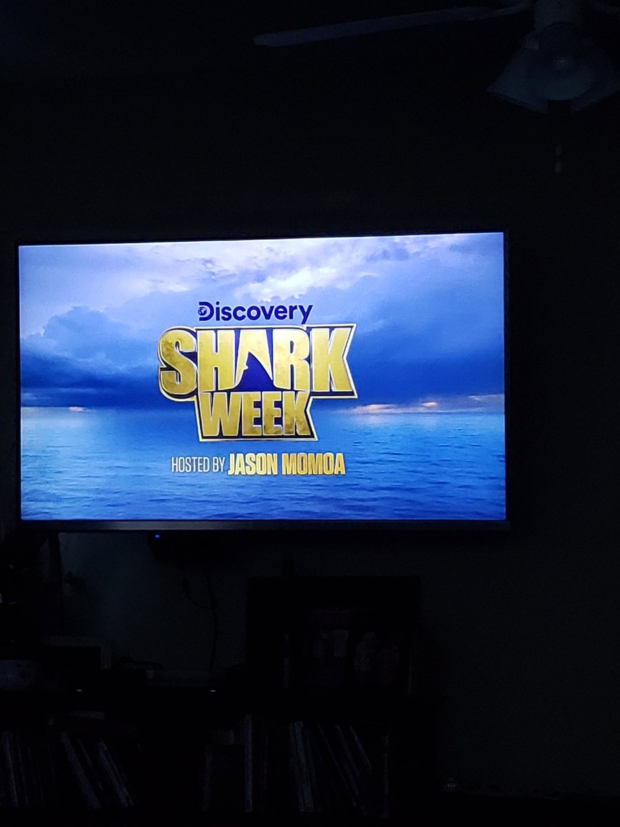 csloan96's tweet photo. Night 1 is underway! #sharkweek 🦈 @SharkWeek https://t.co/ozDkDKB6v2