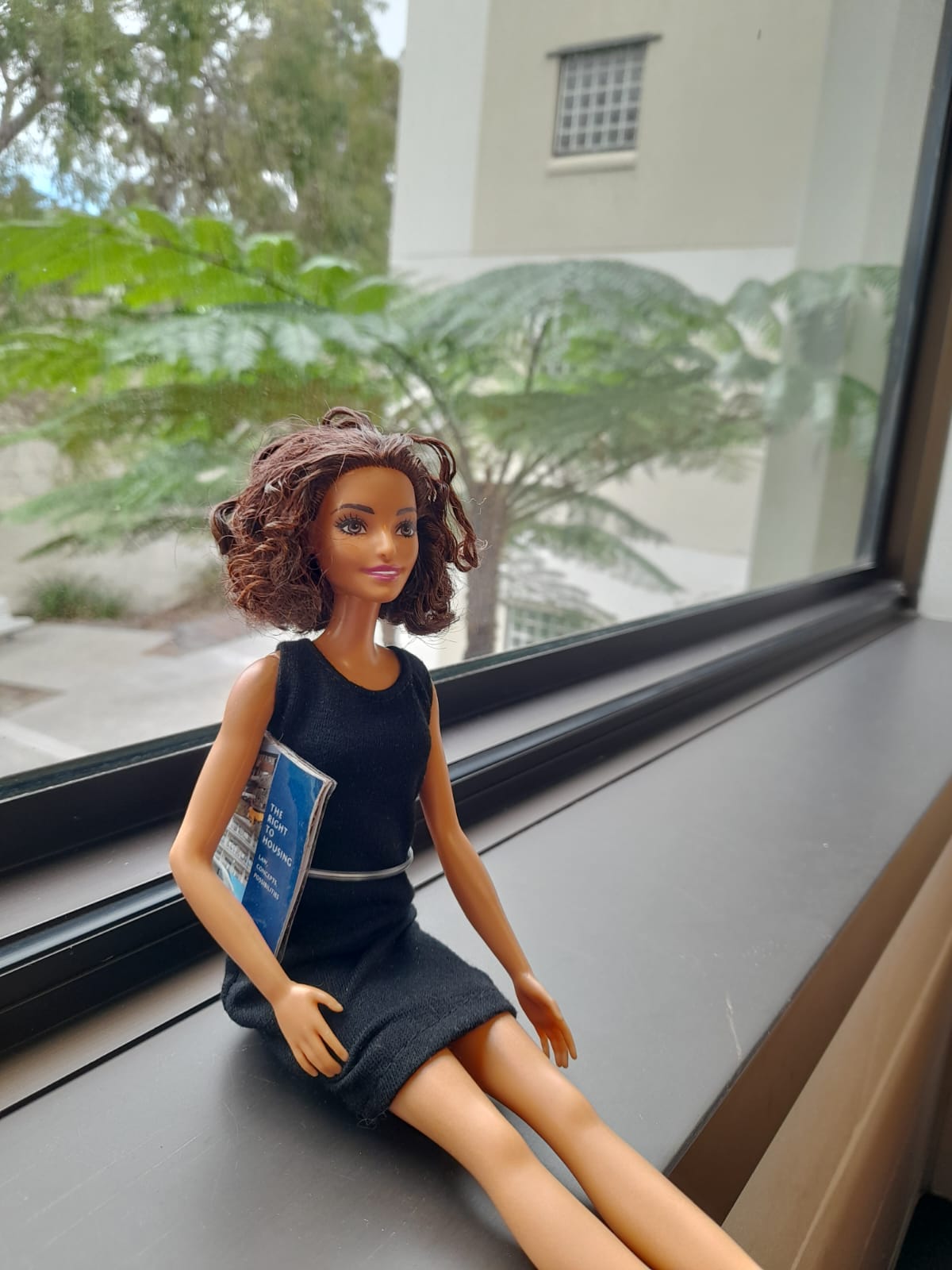 IntLawBarbie on Twitter "International Law Barbie's friend and