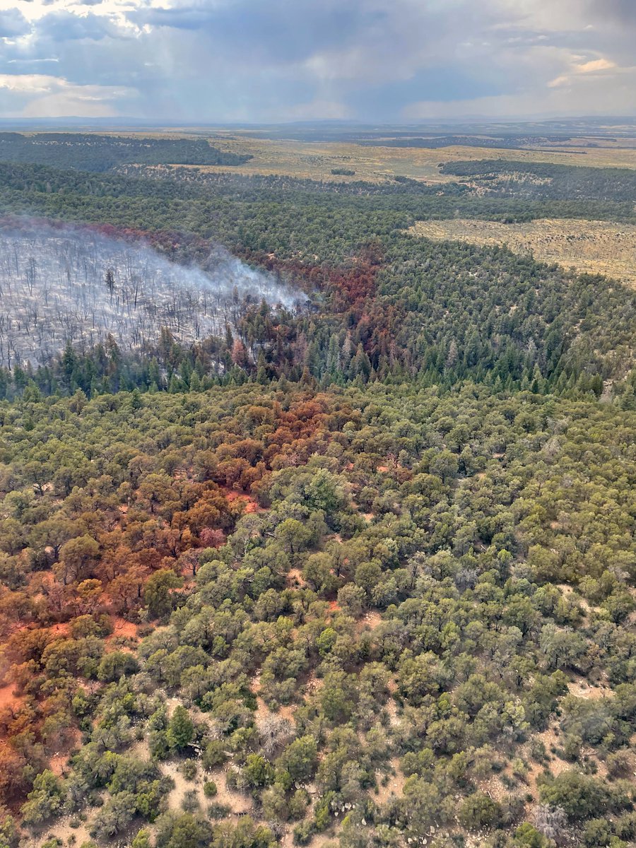 UtahWildfire's tweet image. #MonumentFire is 82 acres, based on more accurate mapping. Crews have line around 70% of fire. Expect to have line around 100% by midday 7/24 w/ full containment by day's end. Retardant used during initial attack slowed fire spread so crews could build line. #blmgl #FireYear2023