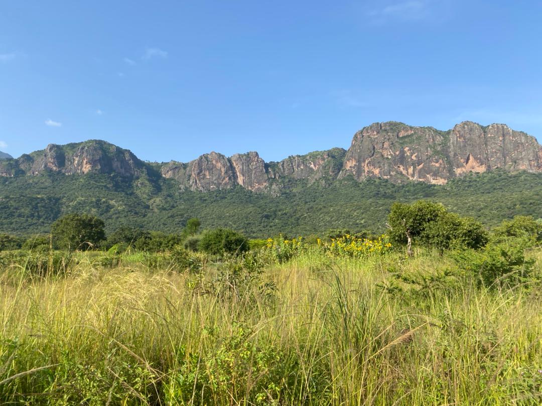 WildfriendsUG's tweet photo. Morning Challenge in #PianUpeWR - a hike to the top of #MtKadam. The reward of this adventure in a wallow into scenic beauty - from the aerial perspective - unmatched adventure experienc #discoverkaramoja #warriornomadtrail @karatungatours @uganda_uncovered @NamataLyton https://t.co/edYiknmA8Y