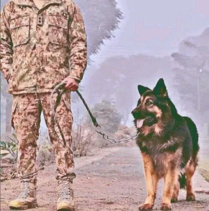 Think_b4_Writin's tweet photo. @lmrankhanISP1 کتّے اور کتّوں کو پالنے والے، دونوں ہی پاکستان کے 24کروڑ عوام کے ملازم ہیں، وفاداری سے جس کام کے لیئے رکھا ھے بس وہی کام کرتے رہیں۔اپنے مالکوں کی دولت پر نظر نہ رکھیں، کہیں نوکری سے نکالے ہی نہ جائیں۔ #عمران_ریاض_کو_رہا_کرو
#عمران_خان_تو_آئے_گا #عمران_خان_کو_واپس_لانا_ہے
#PakArm https://t.co/TxjGAfFZp7