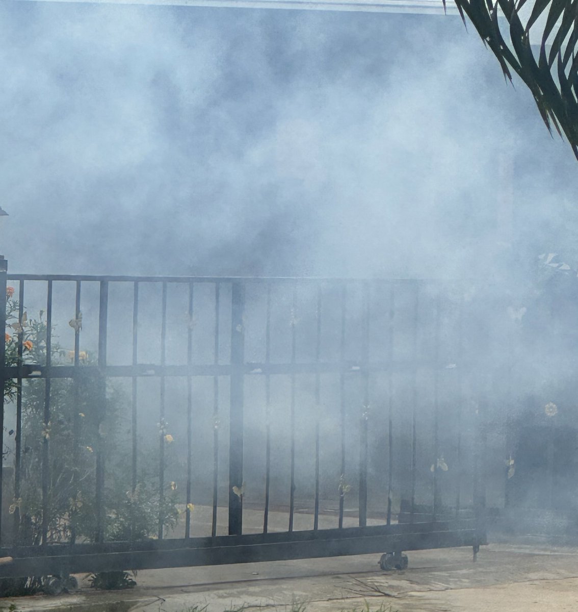 เหี้ยมาก กุตื่นเพราะนึกว่าบ้านไฟไหม้ โทรหาแม่แต่โทรไม่ติด จะร้องไห้ สรุป แม่ตะโกนมาจากหน้าบ้านว่าออกมาเร็ว ๆ เค้าจะพ่นยุง