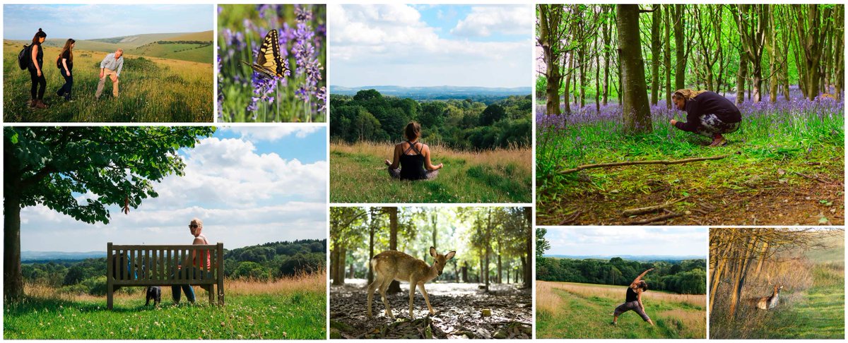 BrightonYogaUK's tweet photo. NEW - Wild Spa - Yoga and Forest Bathing 

Come  along to a wellbeing day with outdoor yoga, q-gong, forest bathing and a  picnic. Recharge your batteries in a peaceful and nurturing  environment.  

Join our first event on August 19th - book now  https://t.co/9SgylhVAGV https://t.co/6lAbm9hMLu