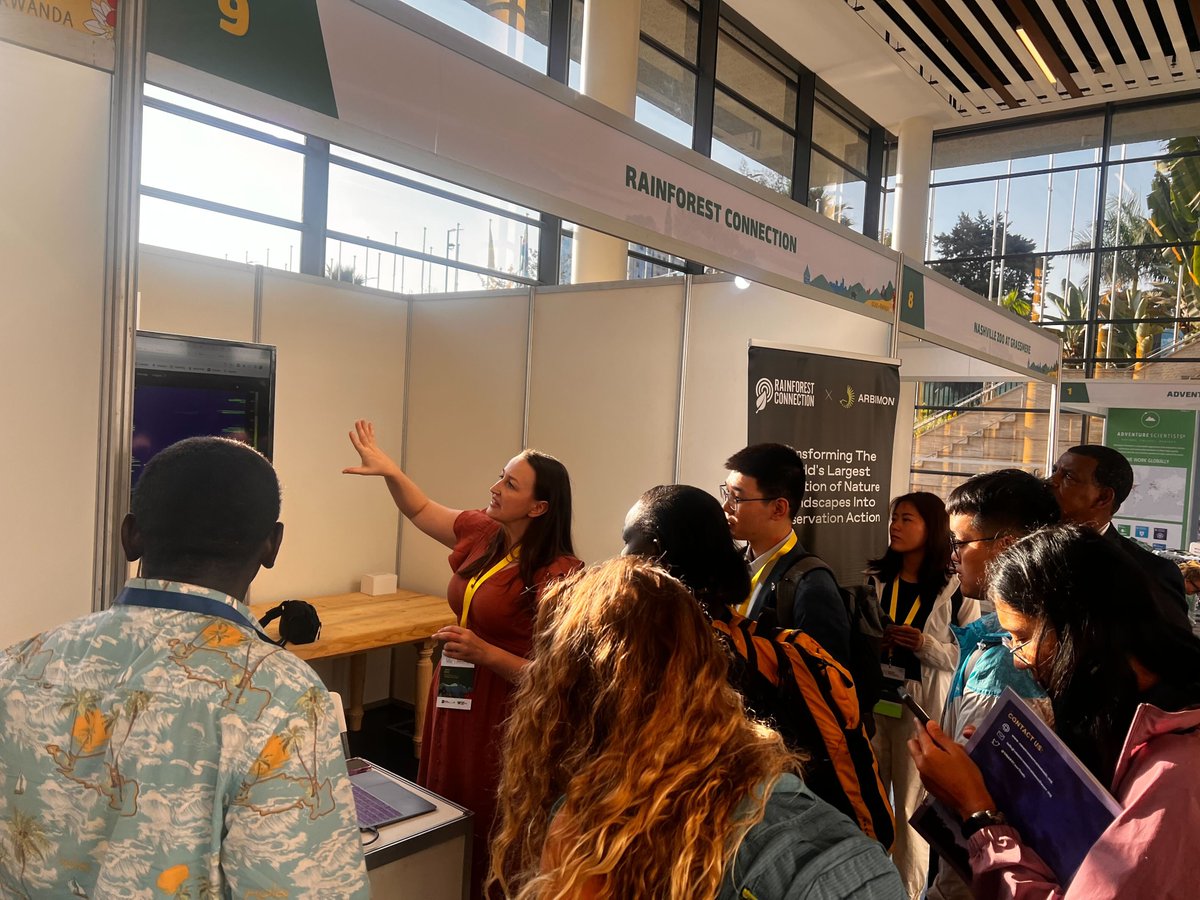 Rainforest Connection tweet media