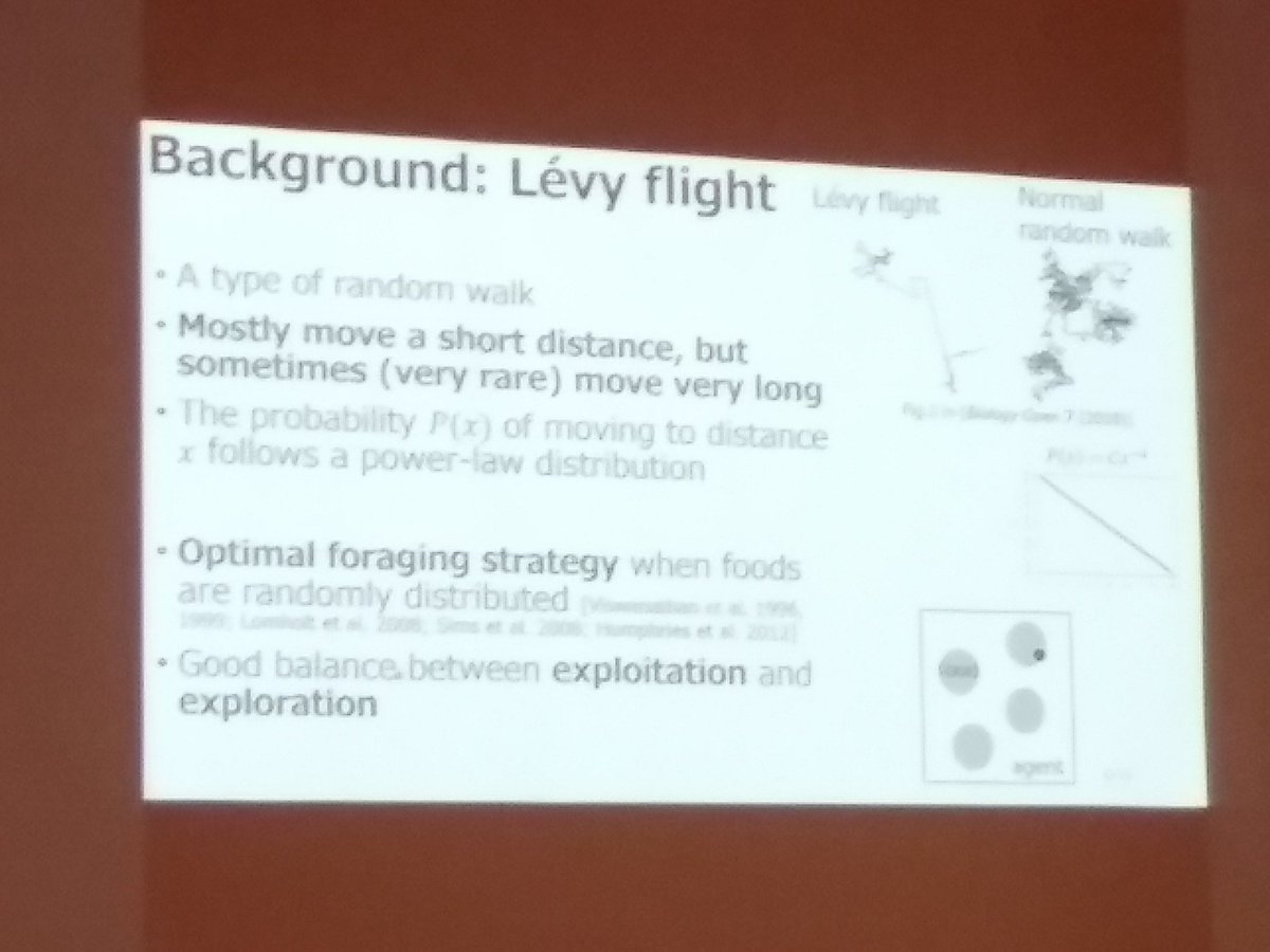 Hiroki Sayama tweet media