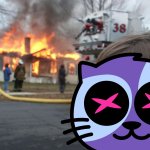 Photo by KATZ COMMUNITY (@KatMonstarz)