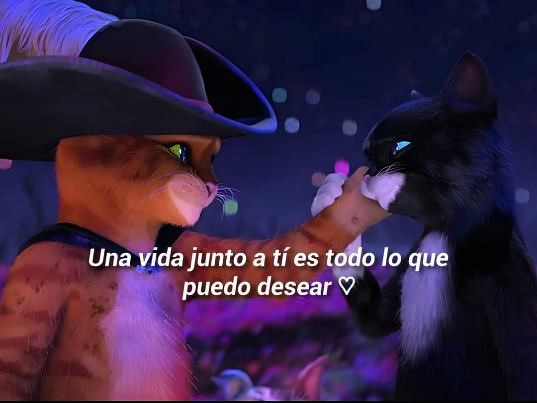 iSweethearts's tweet photo. Y como dijo el gato con botas... 💙 https://t.co/cdQUzj7Ruf