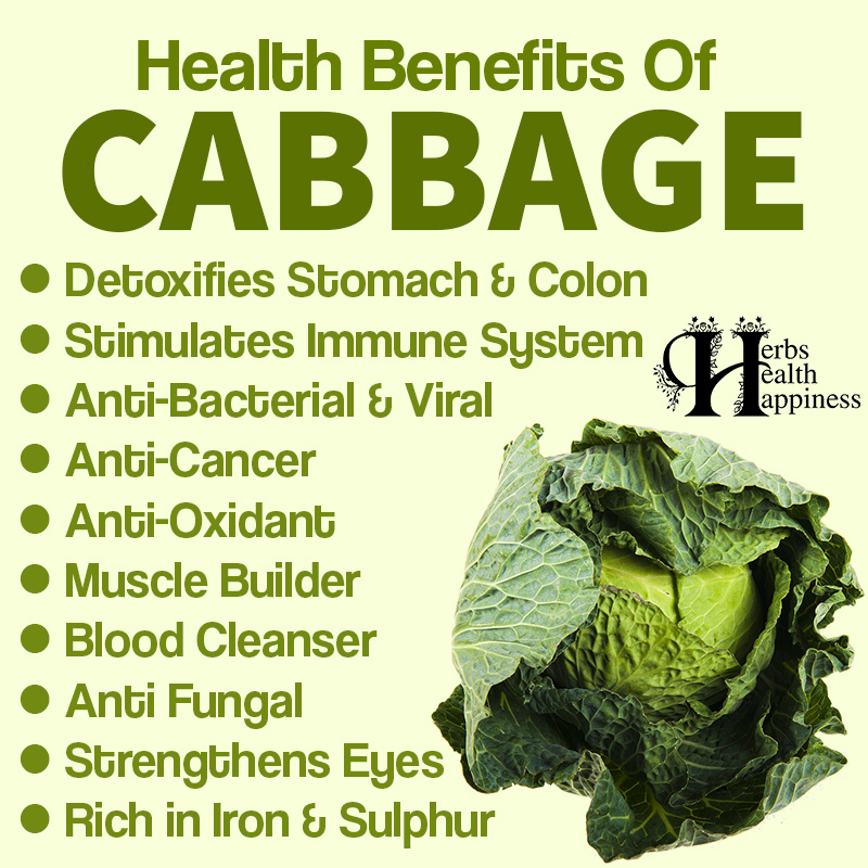 OrganicLiveFood's tweet image. Organic Red #cabbage contains 36 different varieties of anthocyanins, a class of #flavonoids that have been linked to #cancer protection: seattleorganicrestaurants.com/vegan-whole-fo… 

#RedCabbage can help to Protect You Against Cancer, #Inflammation And #Diabetes