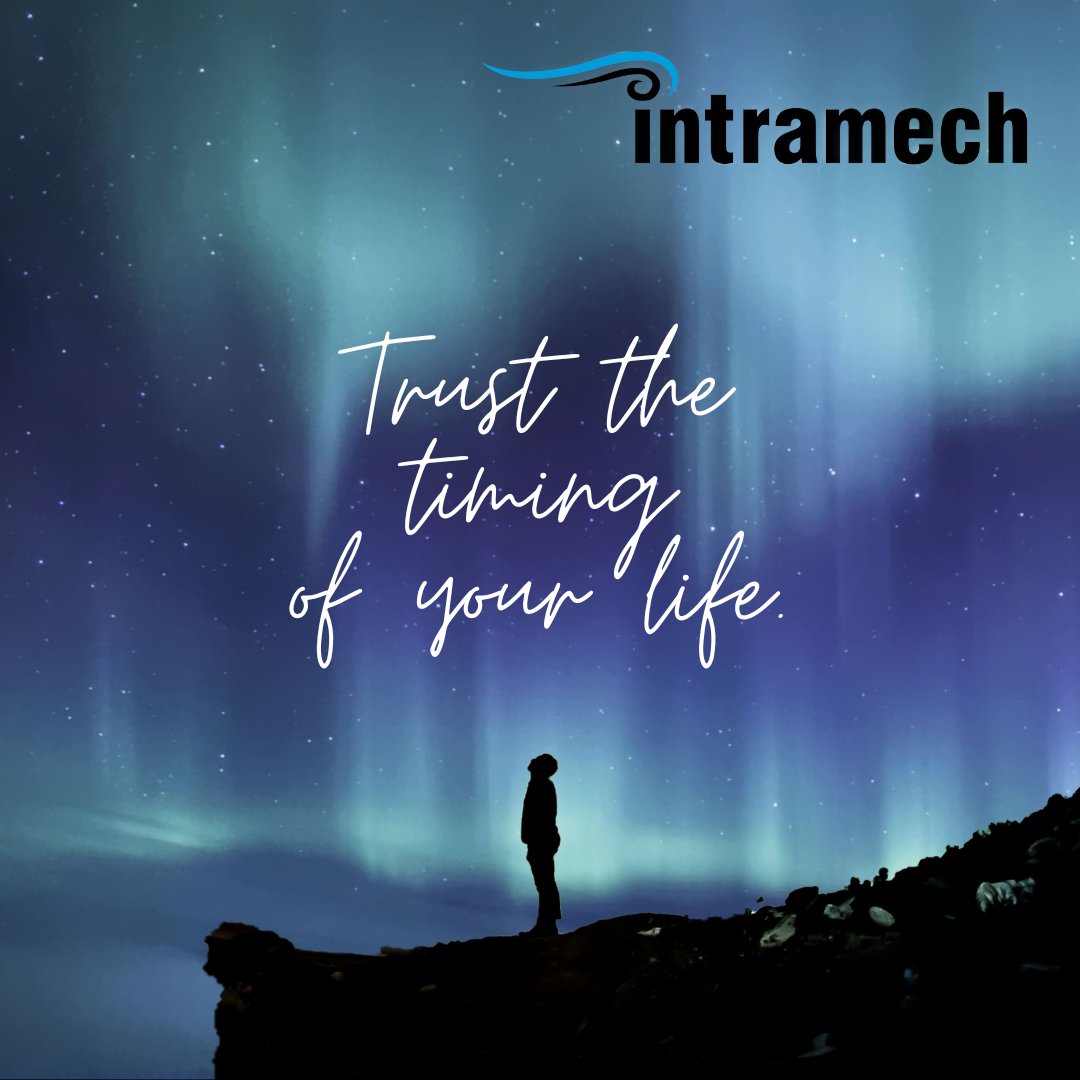 _Intramech_'s tweet image. Have a wonderful week!