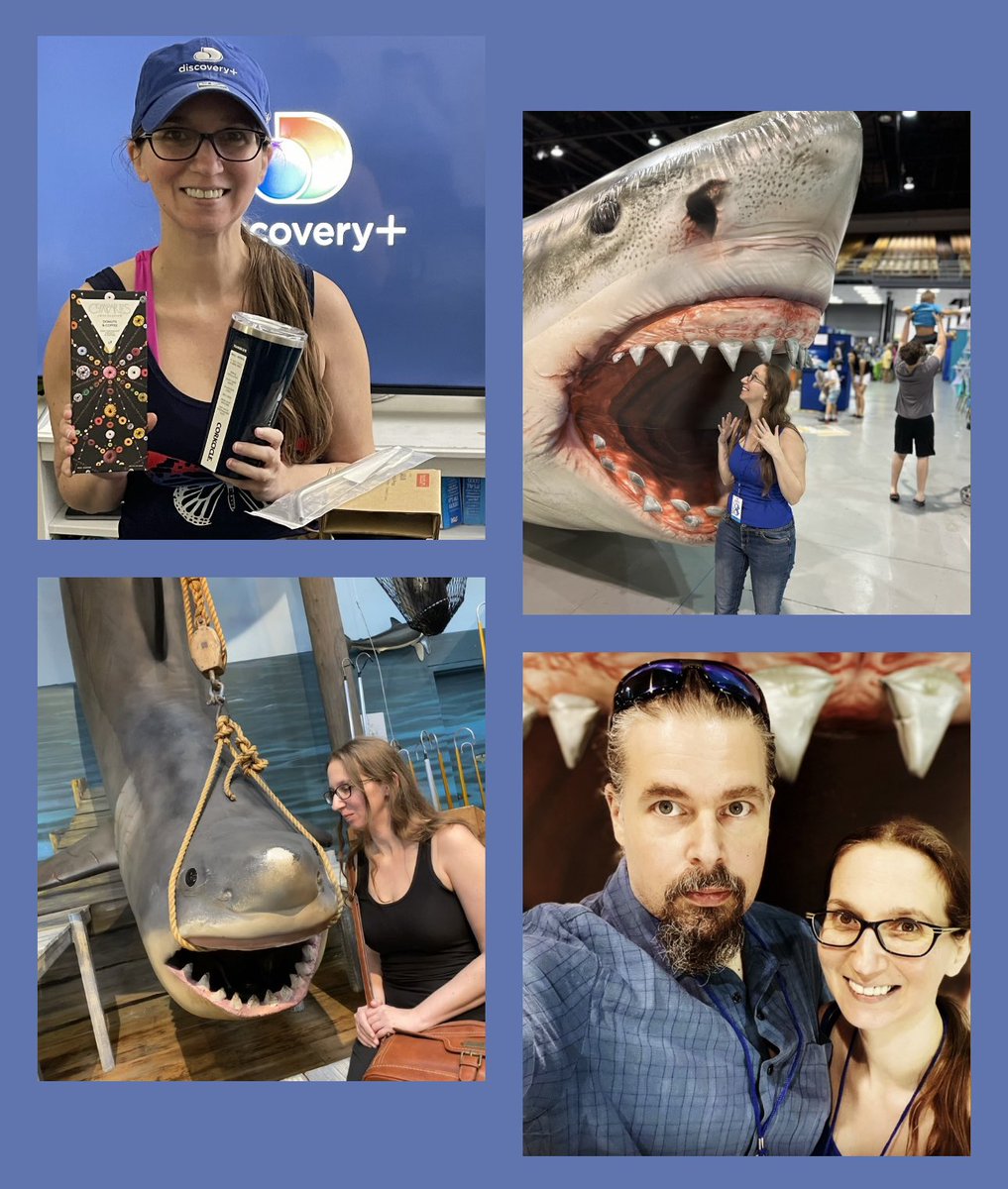 It’s the most wonderful time of the year…  Shark Week starts NOW! 🦈

<a href="/Discovery/">Discovery</a> <a href="/discoveryplus/">discovery+</a> 

#SharkWeek  #SharkWeek2023