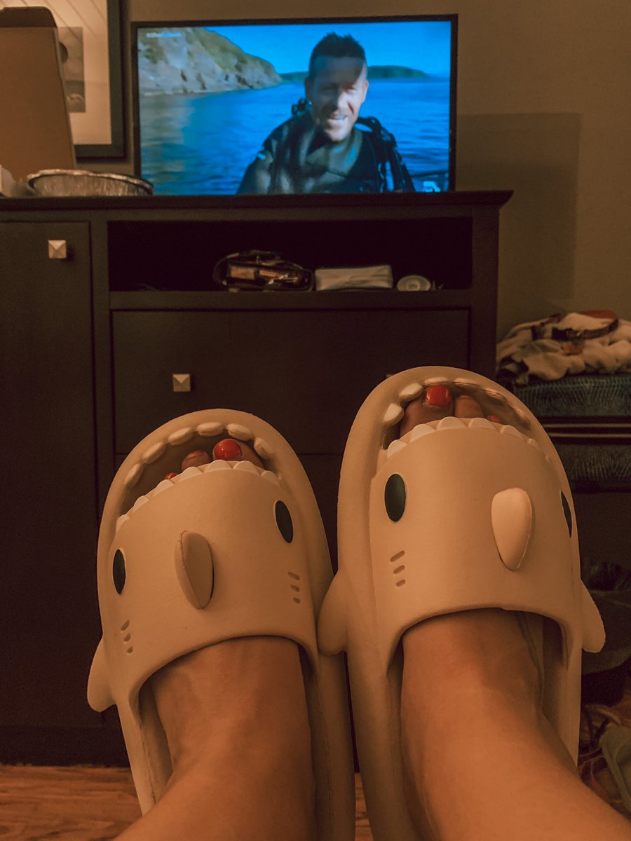 anadobbs's tweet photo. Chillin’ in my slippers watching some #sharkweek https://t.co/GKolg6C9EE