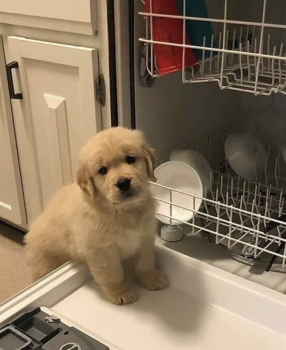 แม่คิดว่า ทิแม่ให้หนุล้างจานมันดีแล้วหนอ