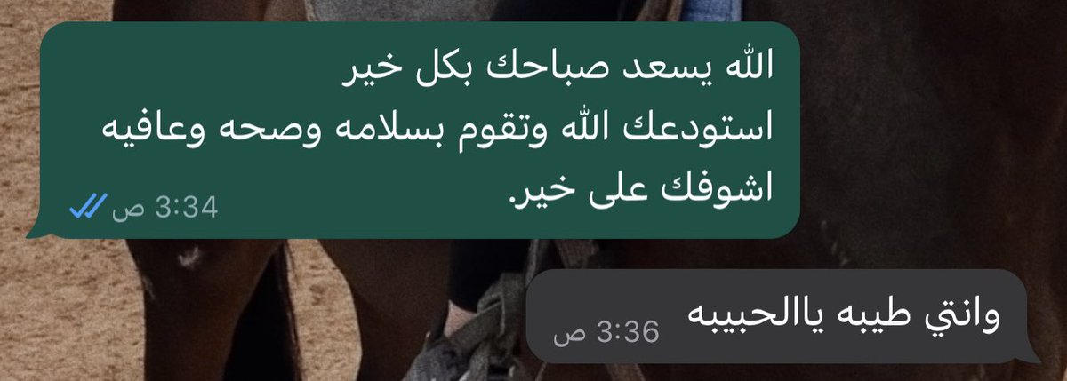 ISCHFL's tweet photo. بسم الله على ابوي اللذي لا يضر مع اسمه شي استودعك يالله أبي في كل وقت وحين ❤️ https://t.co/ygYbo87Z10