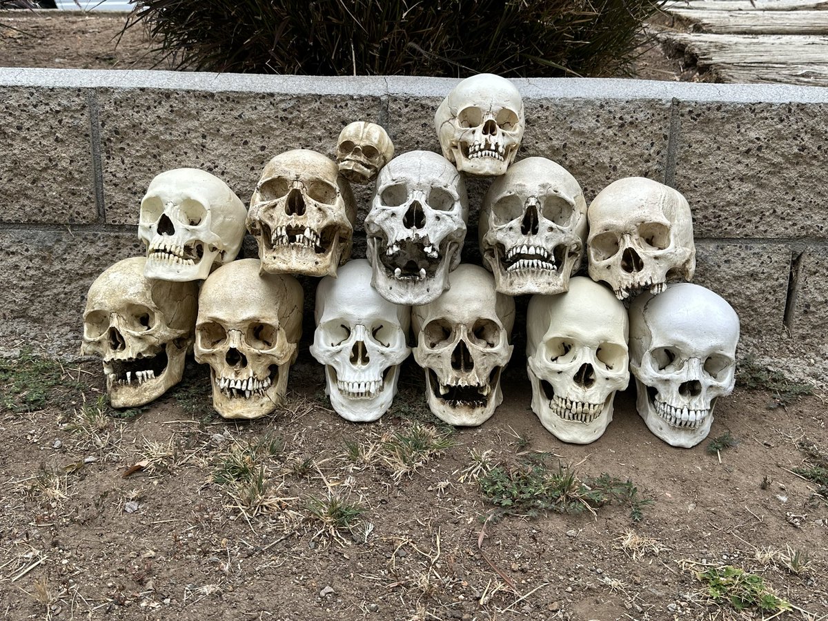 JinxedArt's tweet photo. My pile of replica skulls from @SkullShoppe https://t.co/bq2aY80wDp